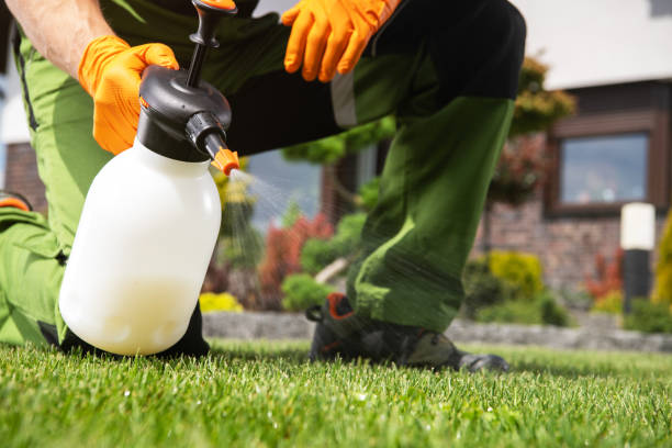 Best Wasp Removal Services  in Navarre, FL