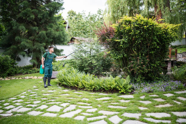 Best Best Pest Control Companies  in Navarre, FL