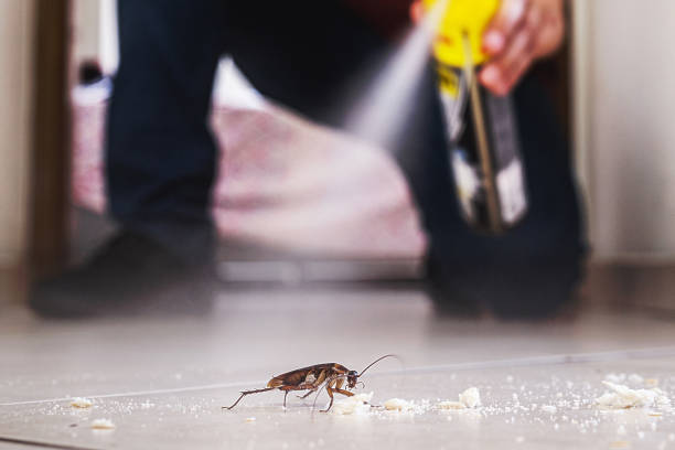 Pest Control for Restaurants in Navarre, FL