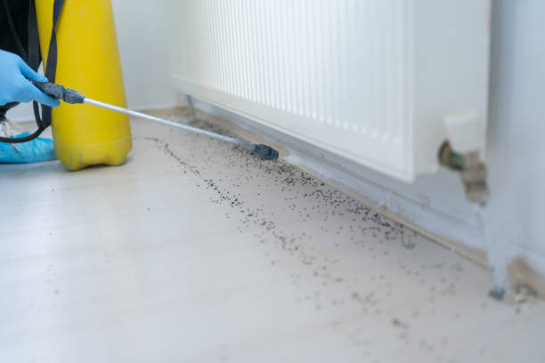 Best Residential Pest Control  in Navarre, FL